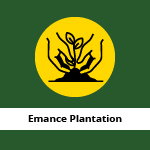 Emance Plantation